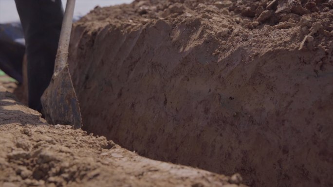 考古挖掘人员用铁铲铁楸铲土挖土B006