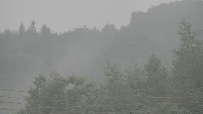 雨中山