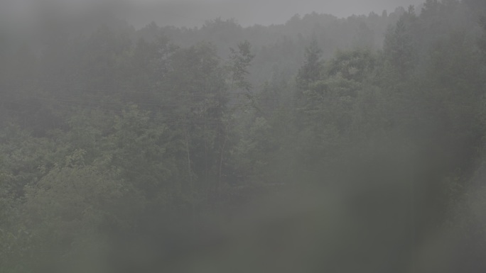 雨中大山