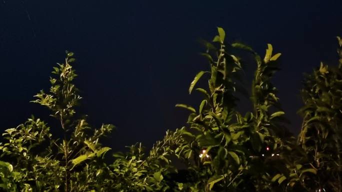 实拍夜晚雷电暴雨打雷下雨 雷声 闪电雨声