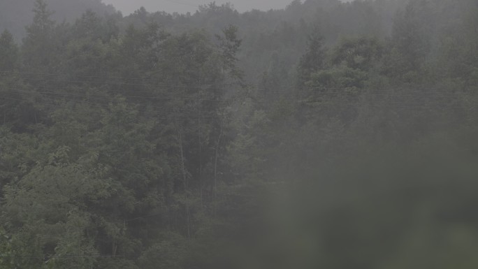 雨中大山原素材