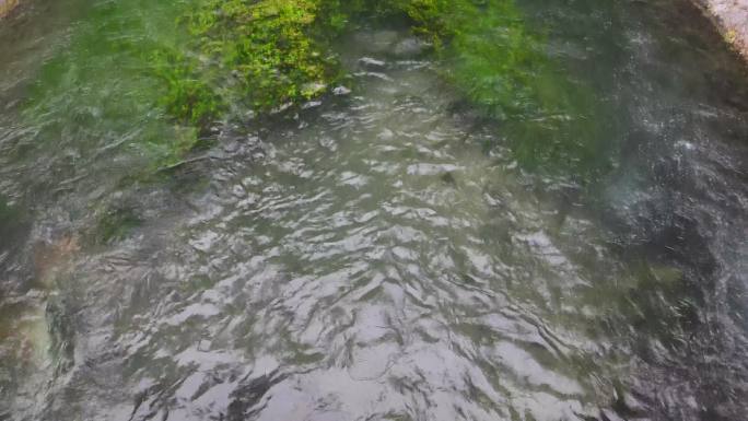 百脉泉公园河流清澈泉水河水