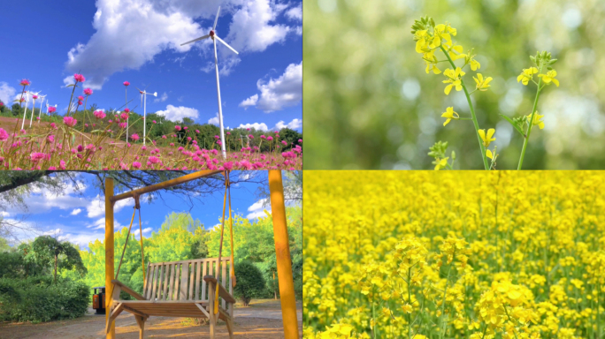 小清新、夏天、油菜花、唯美、光影