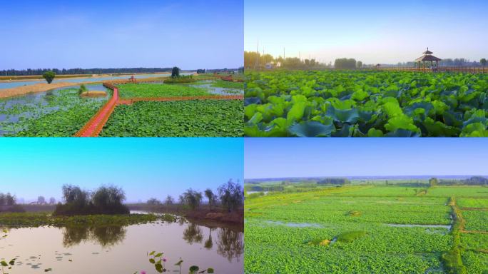 菏泽曹县黄河故道湿地航拍