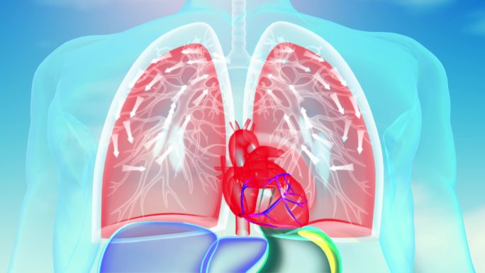 肺功能呼吸纳气肺活力