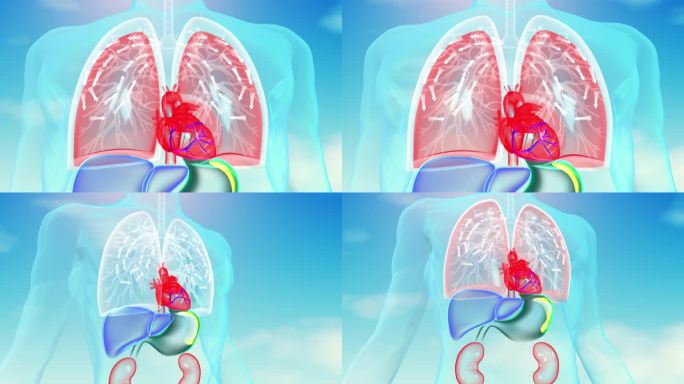肺功能呼吸纳气肺活力