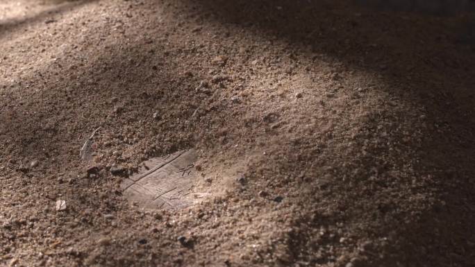 风吹开沙子露出文物甲骨文野外考古发掘研究