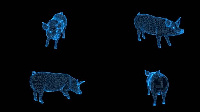 蓝色全息线框科技猪动画素材带通道