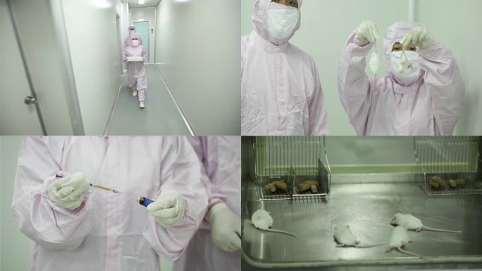 小白鼠-细菌病毒性试验简洁版