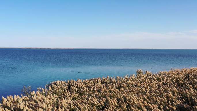 居延海秋色航拍