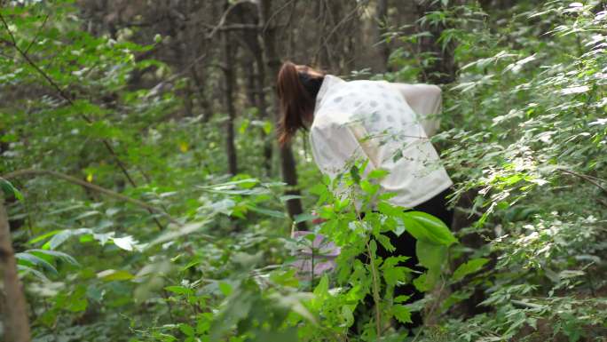 松林采蘑菇的女孩