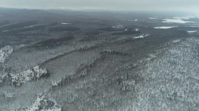 航拍阴郁的天气水墨山林雪景