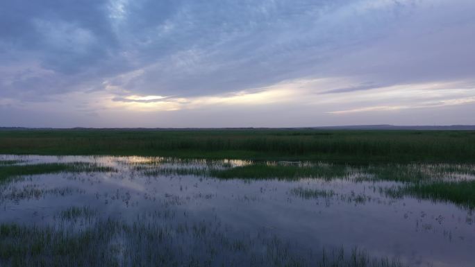 湿地水洼夕阳