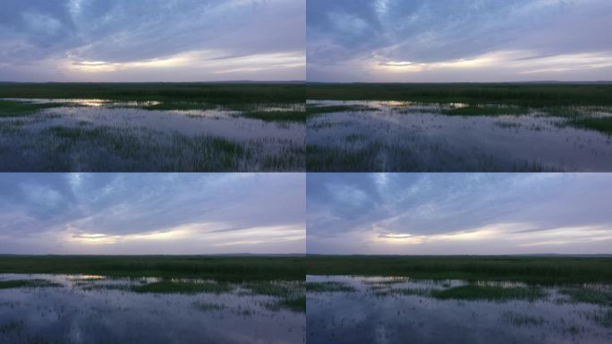 湿地水洼夕阳