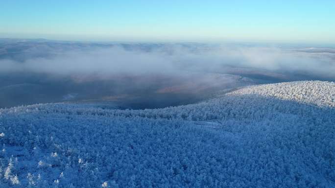 航拍冷空气笼罩的林海雪原奇观