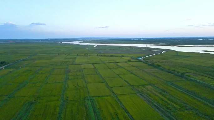 平静的河套平原蜿蜒黄河水稻田产区