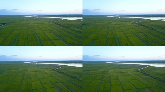 平静的河套平原蜿蜒黄河水稻田产区