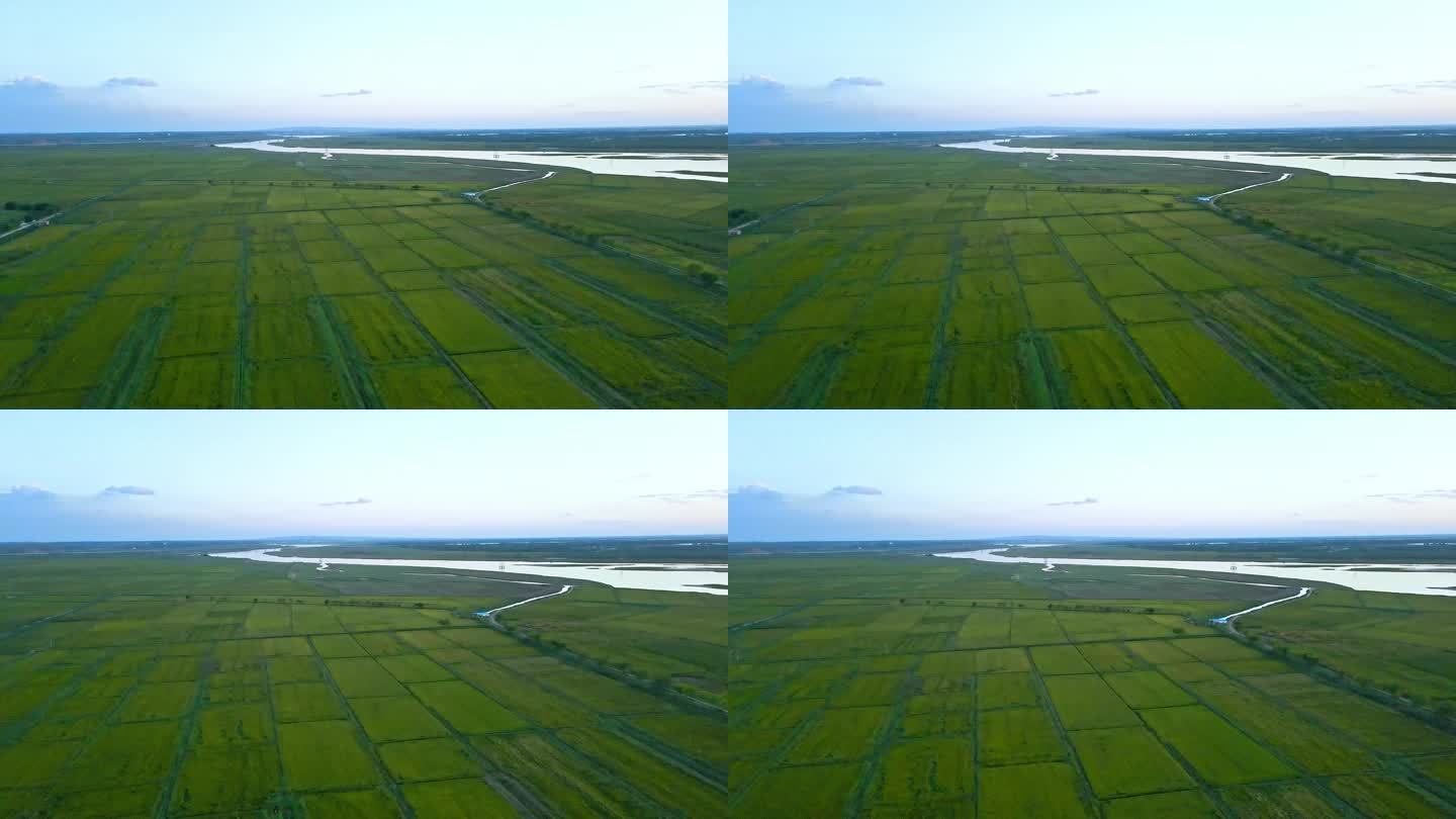 平静的河套平原蜿蜒黄河水稻田产区