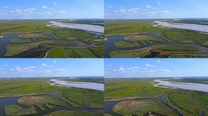 黄河河道湿地生态环境