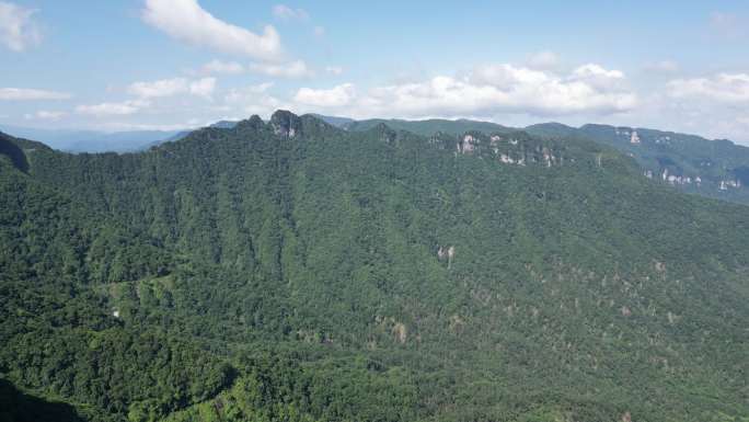 航拍祖国大海河山湖北神农架天燕景区