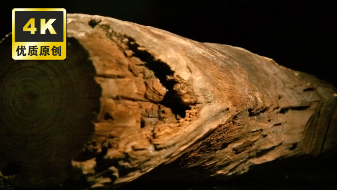 木头纹理扫光 年轮 多种木头质感木材