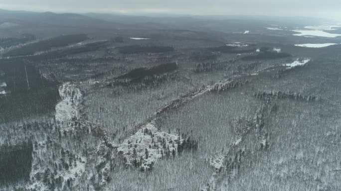 航拍阴郁的天气水墨山林雪景