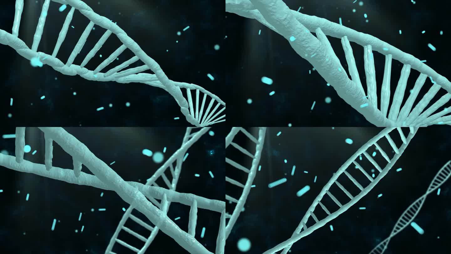 DNA基因链动画