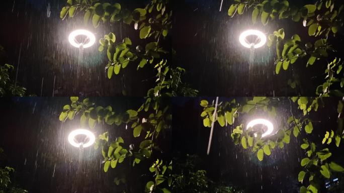 实拍打雷下雨 绿树雨景 实拍雨滴树叶