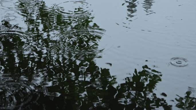 雨中印象