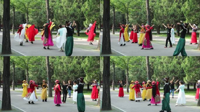 公园里一群身穿少数民族服装的在跳舞