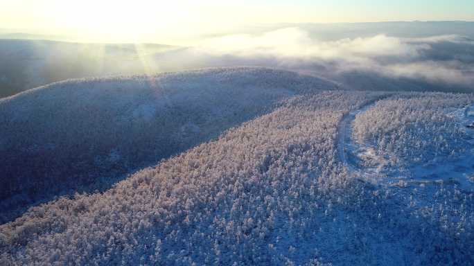 航拍冷空气笼罩的林海雪原奇观