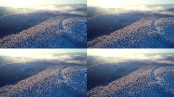 航拍冷空气笼罩的林海雪原奇观