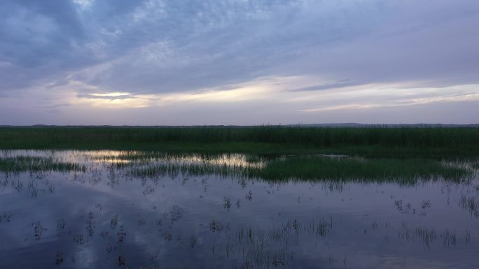 傍晚湿地水洼