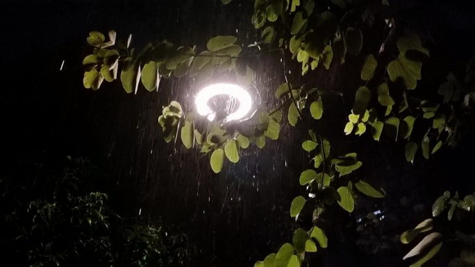 雨滴雨打绿树 树叶飘动 路打雨淋路灯灯光