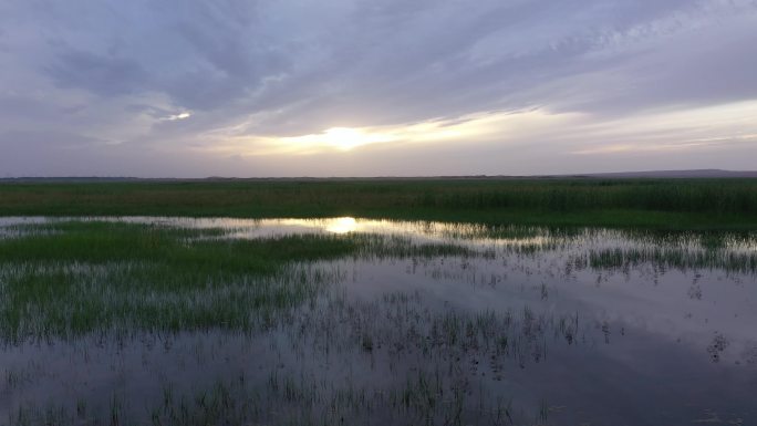 草地水洼残阳