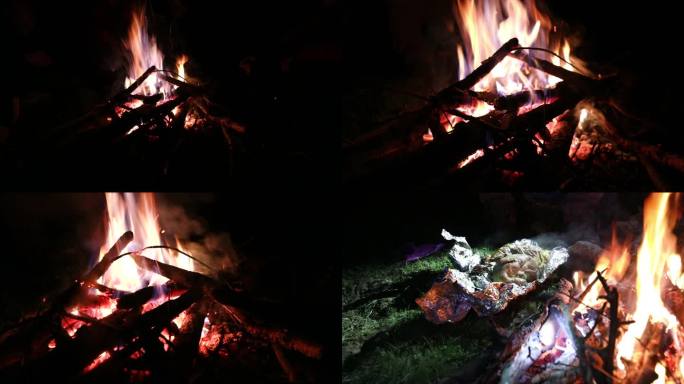 户外活动晚上篝火柴火堆烧鸡实拍合集