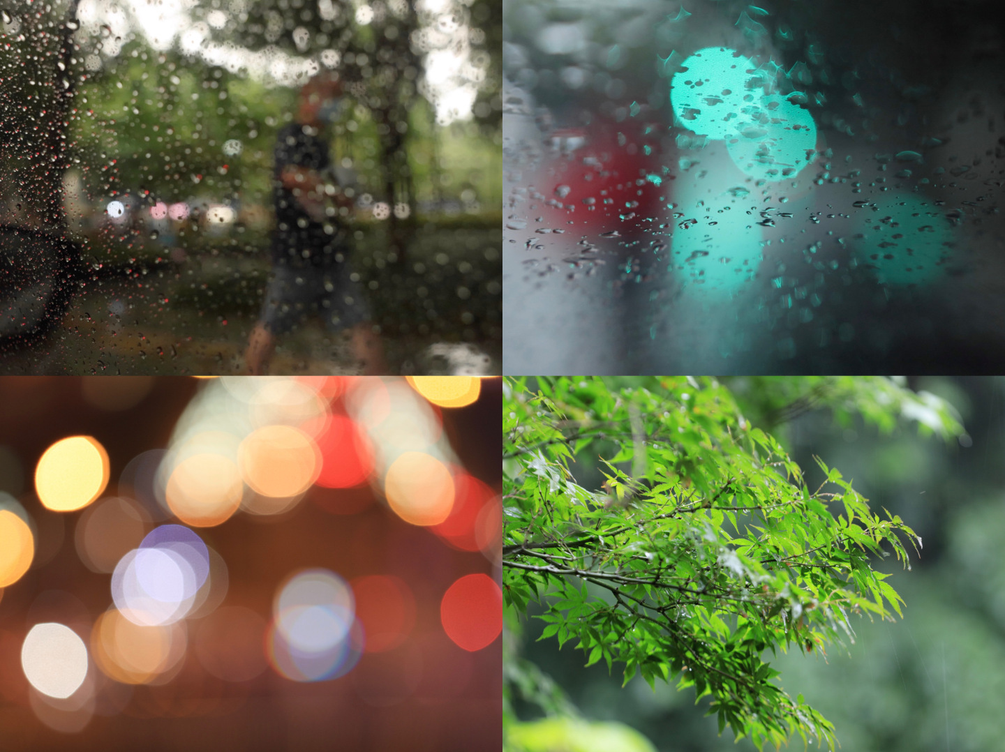 下雨 车流 行人 雨中打伞排队核酸