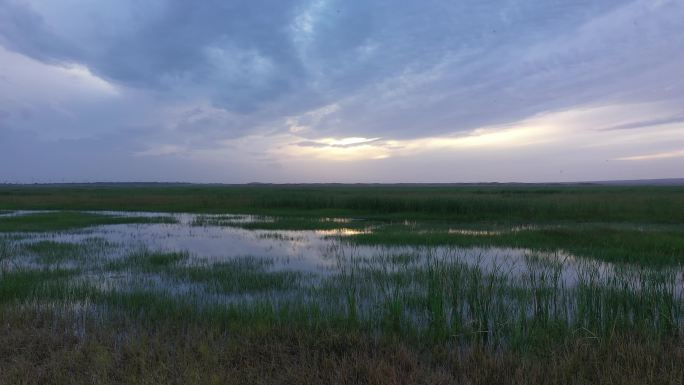 宁静草地水洼