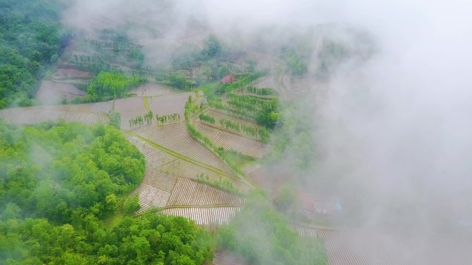 陕南秦岭大山云雾缭绕自然环境实拍合集