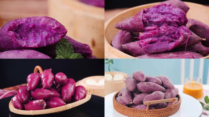 沙地紫薯