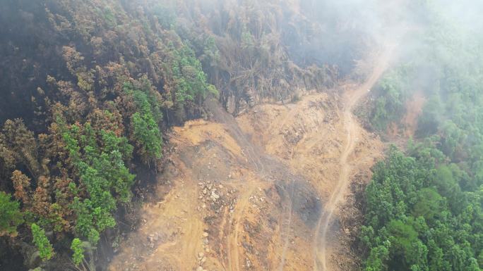 重庆山火后，北碚缙云山降雨，云雾缭绕航拍