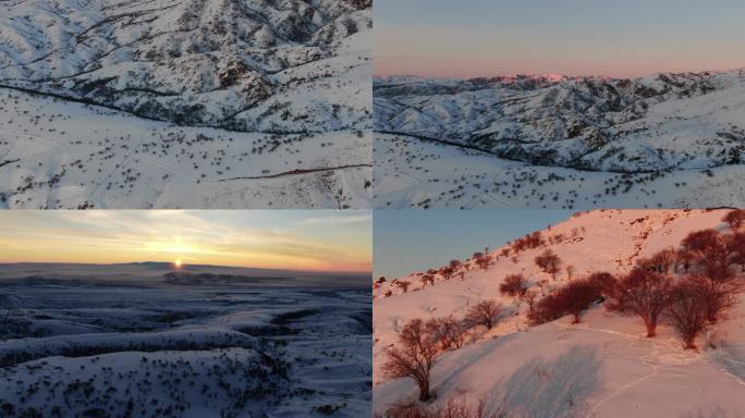 4k航拍野果林雪景