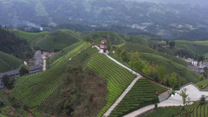 茶山空镜航拍