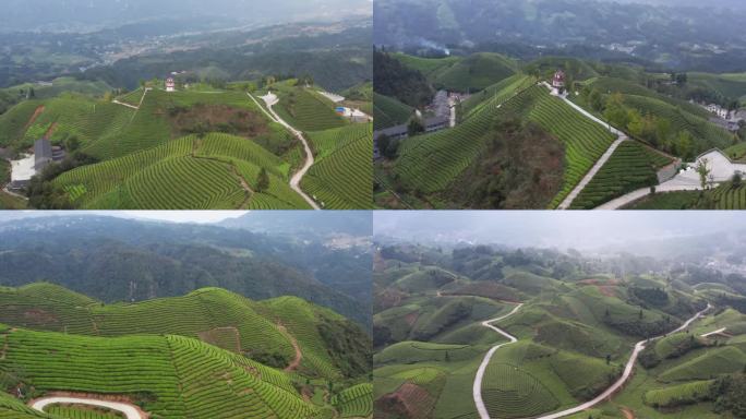 茶山空镜航拍