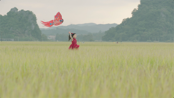 田地里放风筝的小女孩4