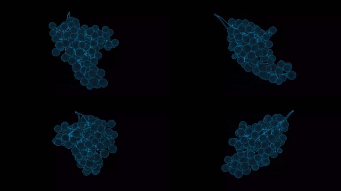 4K蓝色全息科技线框水果 葡萄素材带通道