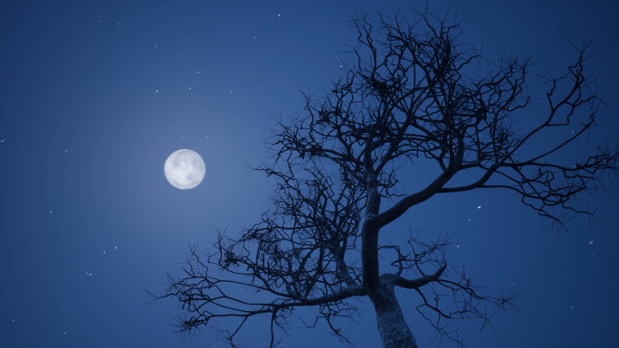 月上枝头中秋月亮树梢明月树影意境