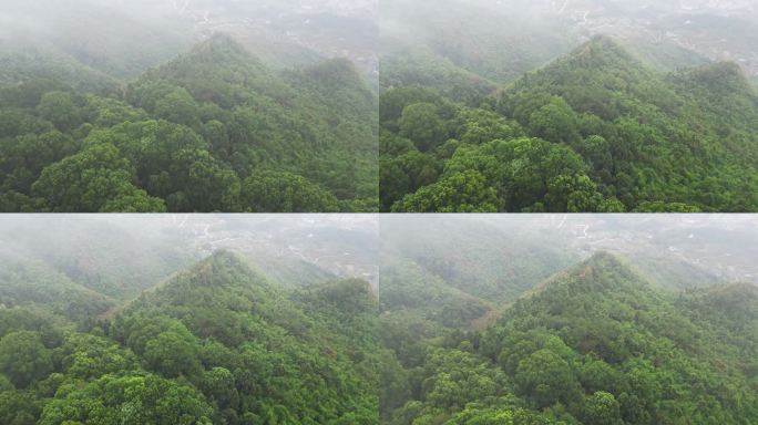 重庆山火后，北碚缙云山降雨，云雾缭绕航拍