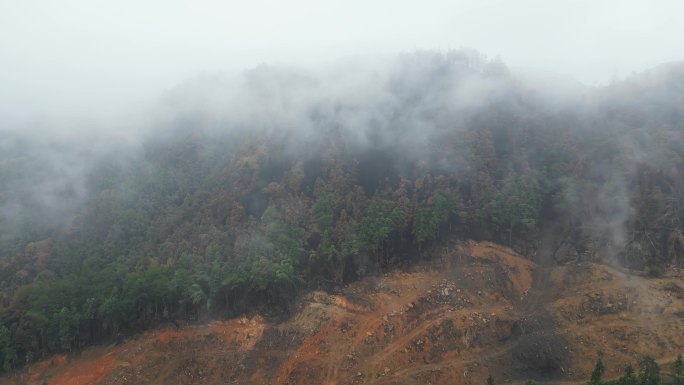 重庆山火后，北碚缙云山降雨，云雾缭绕航拍