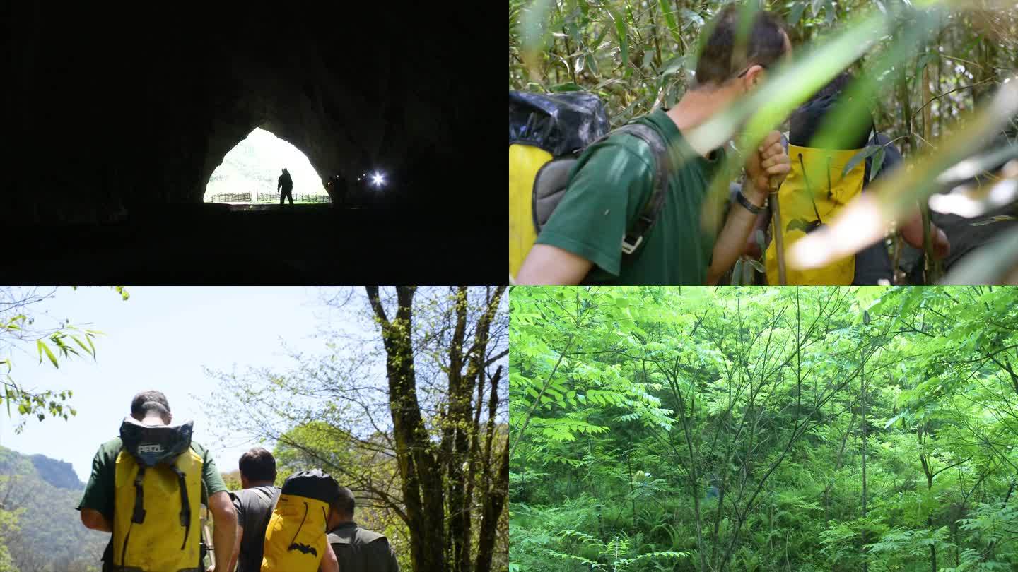 户外活动科考爬山探险队穿越丛林实拍合集